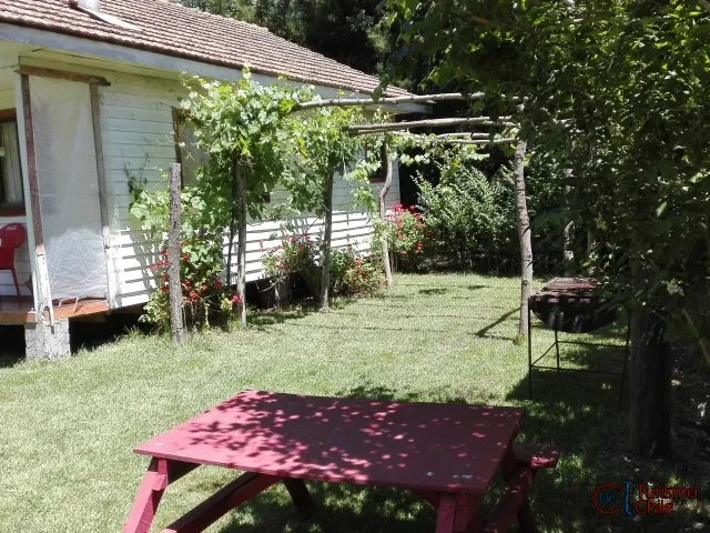 Jardín de la cabaña con pérgola de uva, flores y mesa de picnic roja